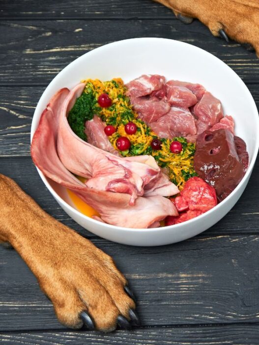 is the farmer's dog food raw?