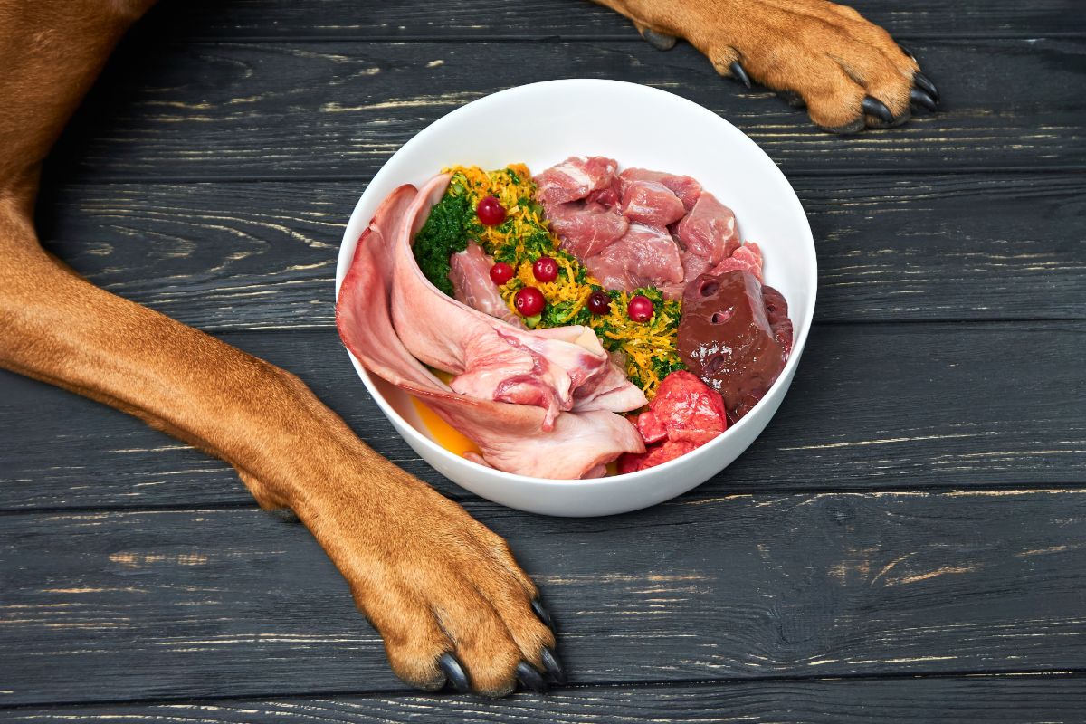 is the farmer's dog food raw?