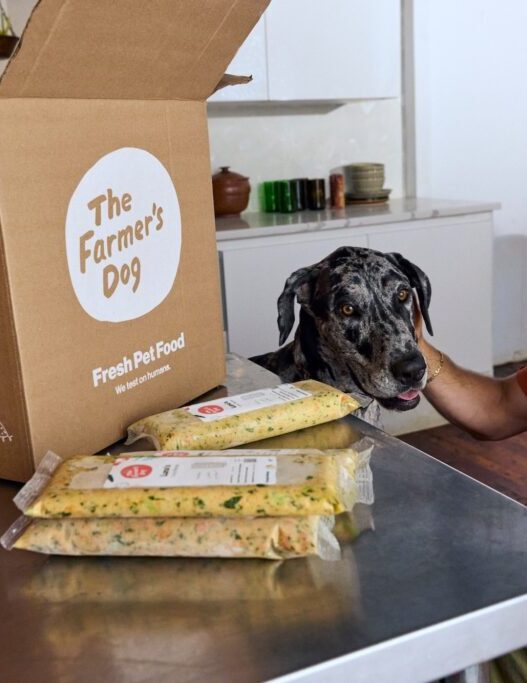 Is The Farmer's Dog a monthly subscription?