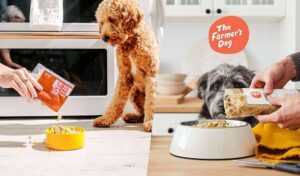 is farmer's dog better than kibble?