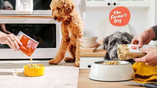 is farmer's dog better than kibble?
