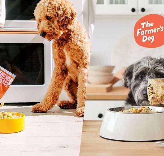 is farmer's dog better than kibble?