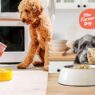 is farmer's dog better than kibble?